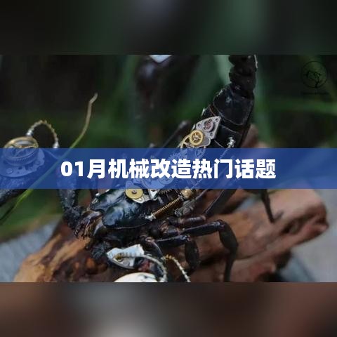 机械改造一月热议话题盘点