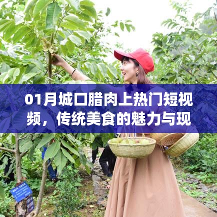 城口腊肉走红短视频，传统美食魅力与现代传播力量