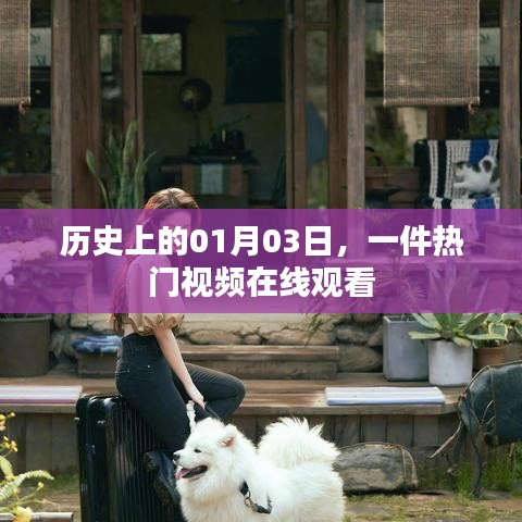 热门视频在线观看,历史上的今天,一月三日回顾