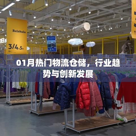 物流仓储行业趋势与创新发展,一月热门看点