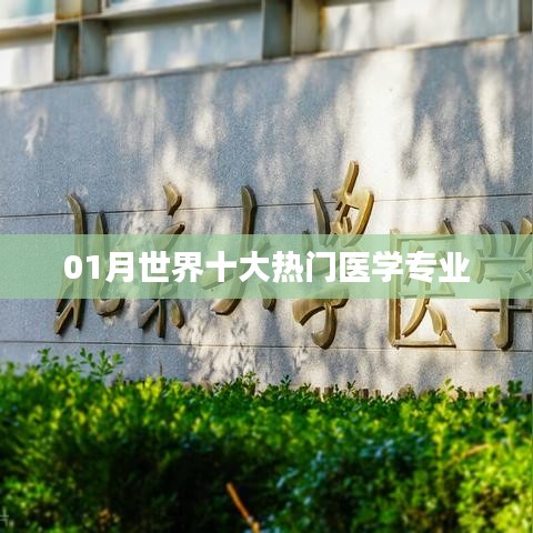 全球热门医学专业榜单揭晓,一月精选十大专业