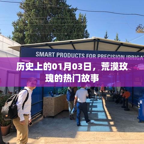 荒漠玫瑰的传奇故事,历史上的1月3日揭秘