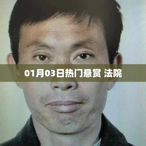 法院最新悬赏公告,一探究竟!