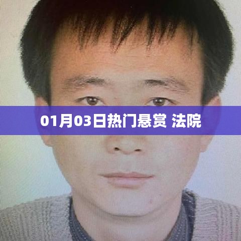 法院最新悬赏公告,一探究竟!