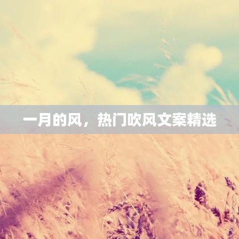 一月风情,精选热门吹风文案