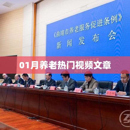 养老热门视频文章精选,一月精彩回顾