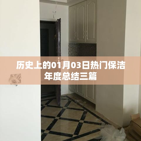 热门保洁年度总结,回顾历史,展望未来的启示