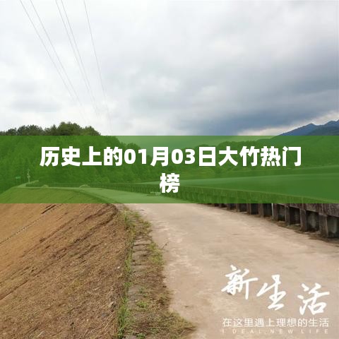 大竹历史热门榜,一月三日回顾与展望