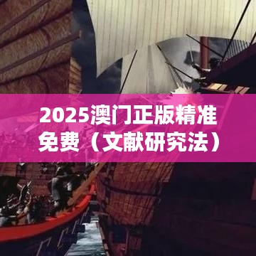 2025澳门正版精准免费(文献研究法)