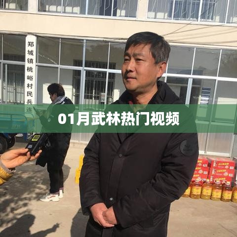 武林热门视频大盘点