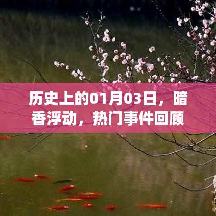 历史上的这一天,一月三日暗香浮动,热门事件回顾
