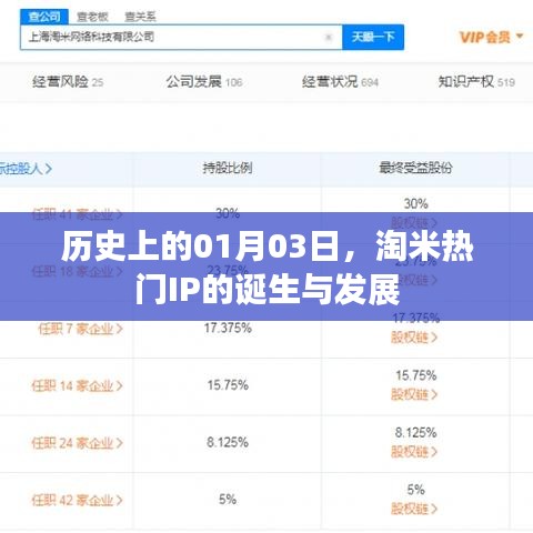 淘米热门IP的诞生与成长历程,历史回望一月三日
