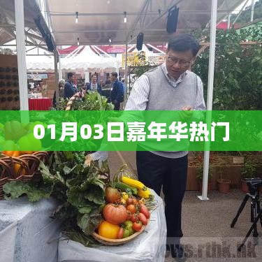 嘉年华狂欢盛宴,精彩瞬间回顾