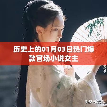 『一月三日官场风云,热门小说女主揭秘』