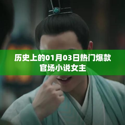 『一月三日官场风云,热门小说女主揭秘』