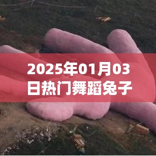 兔子舞热潮来袭，2025年元旦狂欢