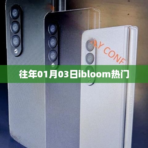 往年元旦后热门事件回顾,ibloom引领潮流风向标