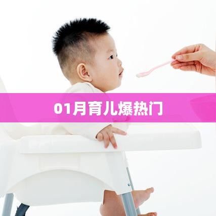 育儿热门秘籍，新手爸妈必备攻略