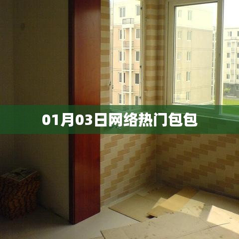 网络热门包包大揭秘,最新流行趋势(日期,01月03日)