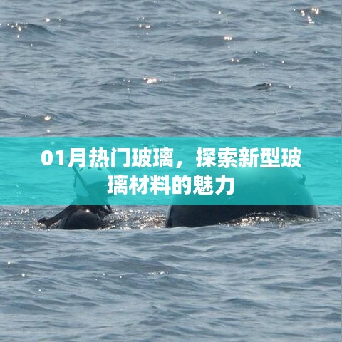 热门玻璃新风尚,探索新型玻璃材料魅力