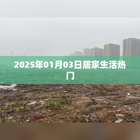 居家生活热点速递,2025年1月3日趋势展望