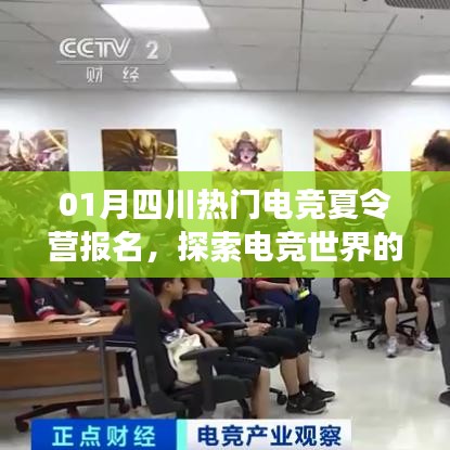 四川电竞夏令营报名启动,探索电竞世界的魅力之旅