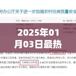 2025年最热门书籍推荐,引领潮流的阅读选择