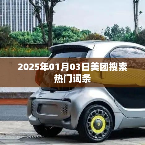 美团搜索热门词条大盘点，2025年1月3日