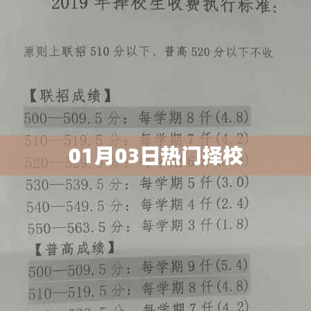 热门择校趋势解析,01月03日数据大揭秘