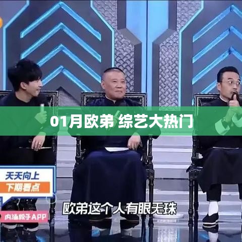 欧弟综艺大热门,精彩节目抢先看