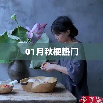 秋梗风潮,一月热议话题全解析