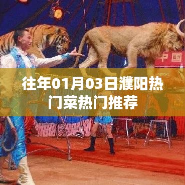 濮阳热门菜推荐,一月份必尝美食榜单