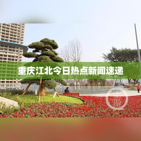 重庆江北今日热点新闻速递