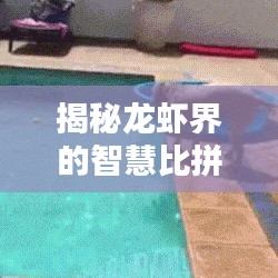 揭秘龙虾界的智慧比拼,十大智商排名榜单!