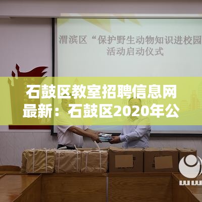 石鼓区教室招聘信息网最新:石鼓区2020年公开招聘教师计划与岗位表