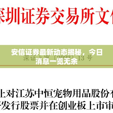 安信证券最新动态揭秘,今日消息一览无余