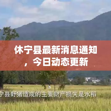 休宁县最新消息通知,今日动态更新