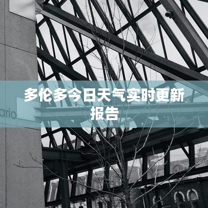 多伦多今日天气实时更新报告