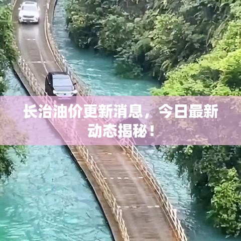 克勤克俭 第4页