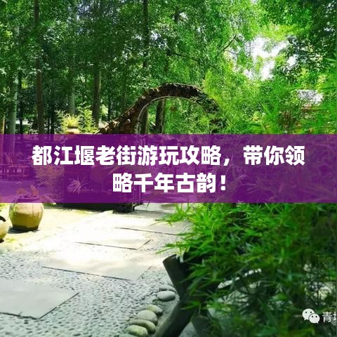 都江堰老街游玩攻略,带你领略千年古韵!