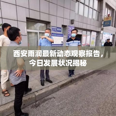 西安雨润最新动态观察报告，今日发展状况揭秘
