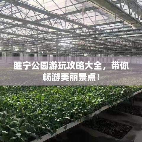 睢宁公园游玩攻略大全，带你畅游美丽景点！