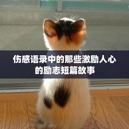 伤感语录中的那些激励人心的励志短篇故事