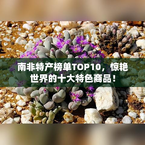 南非特产榜单TOP10,惊艳世界的十大特色商品!