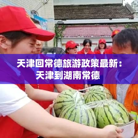 天津回常德旅游政策最新:天津到湖南常德