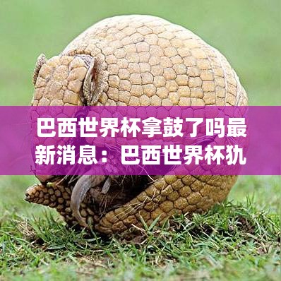 巴西世界杯拿鼓了吗最新消息:巴西世界杯犰狳