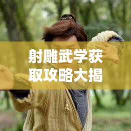 射雕武学获取攻略大揭秘,最新秘籍,助你轻松掌握!
