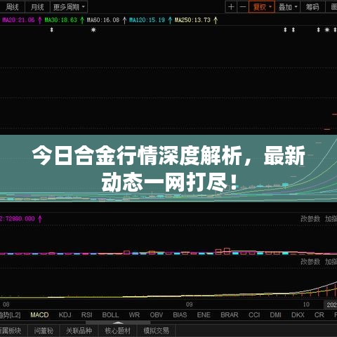 今日合金行情深度解析,最新动态一网打尽!