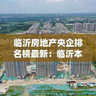 临沂房地产央企排名榜最新:临沂本土房企