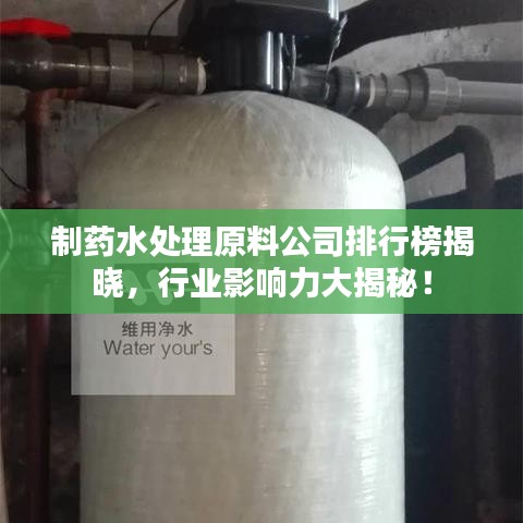 制药水处理原料公司排行榜揭晓,行业影响力大揭秘!